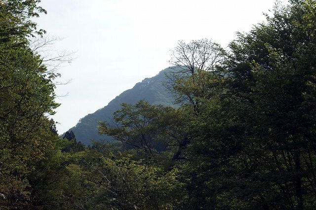 e0137200_22532786.jpg
