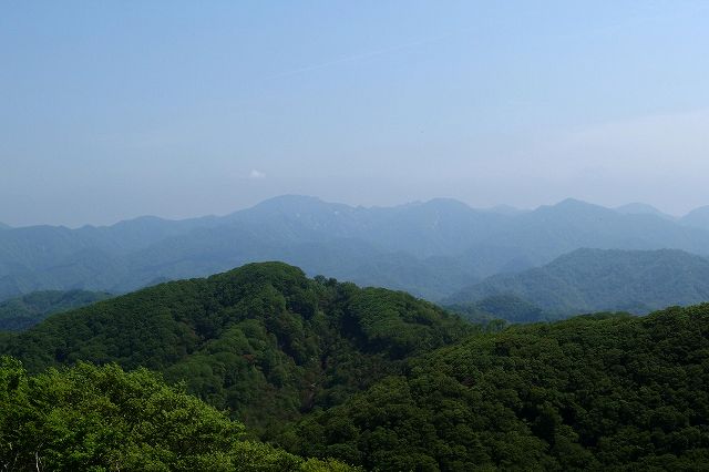 e0137200_22571395.jpg