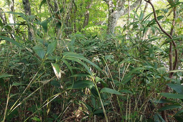 e0137200_22573157.jpg