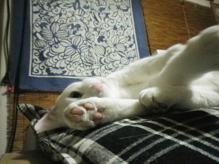 f0239100_812315.jpg