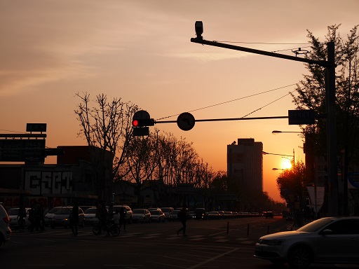 a0140305_25679.jpg
