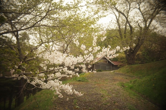 c0202705_10485270.jpg