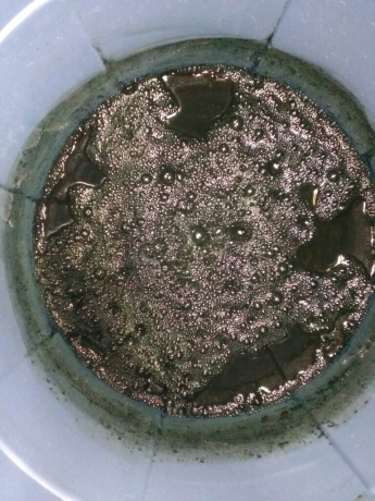 e0272108_07362842.jpg