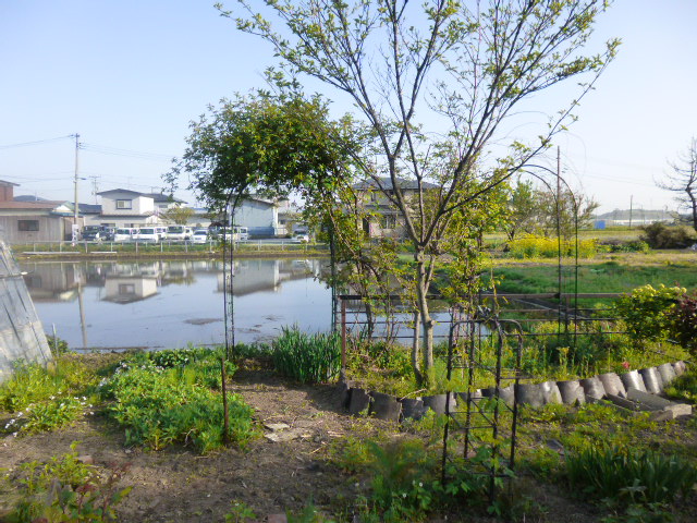b0035611_20314774.jpg