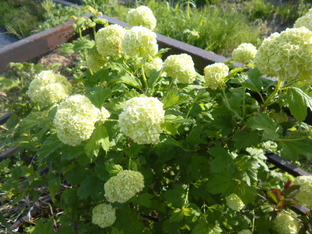 b0035611_20323449.jpg