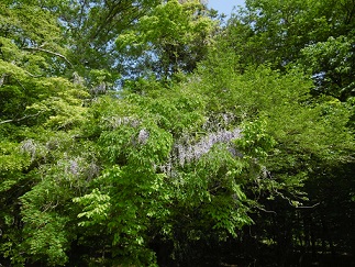 b0146611_18284716.jpg