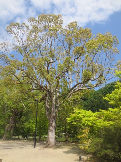 f0248616_13212971.jpg