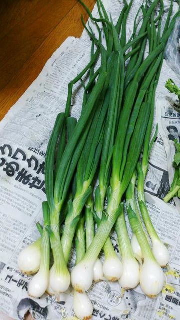 c0317717_23154659.jpg