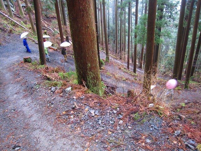 e0002820_17063194.jpg