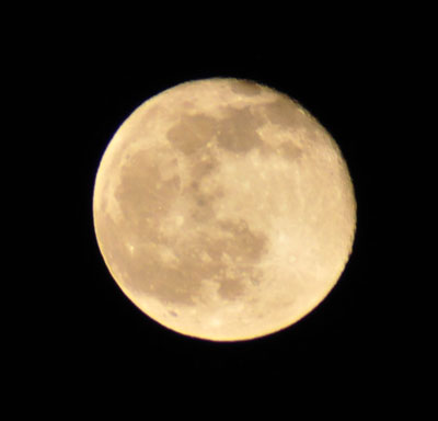 b0199522_22501742.jpg