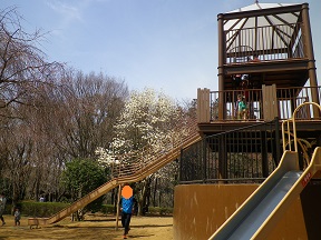 b0102728_849766.jpg