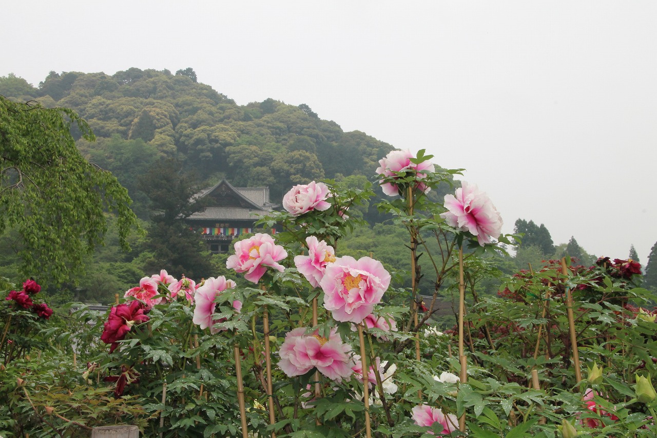 b0162728_21215743.jpg