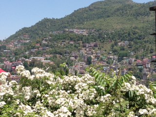 c0051529_1128884.jpg