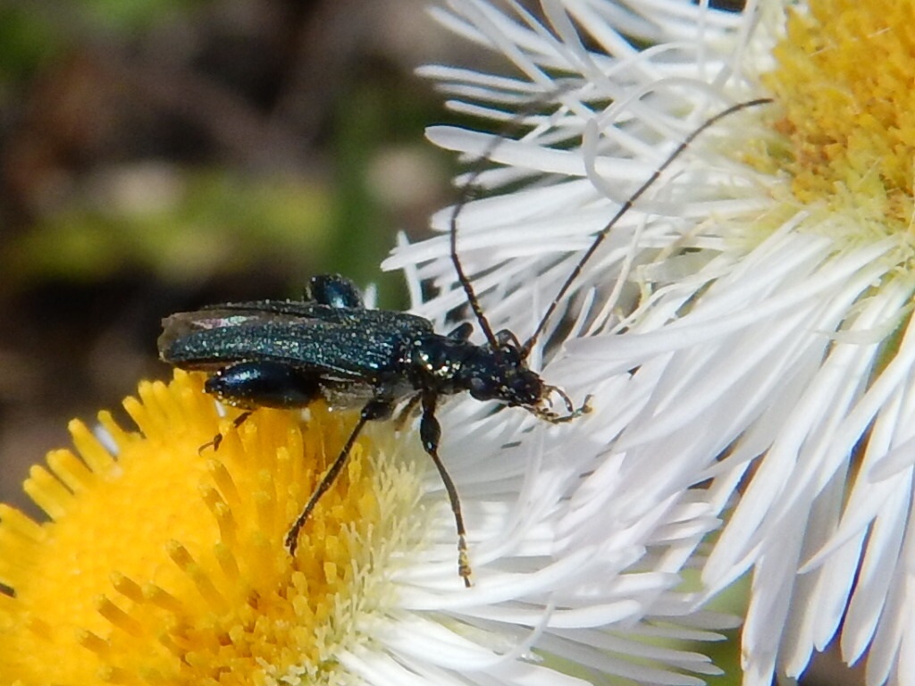 f0118332_20140276.jpg