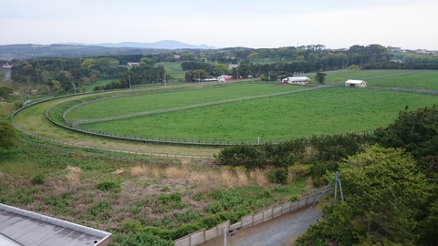e0132433_19494089.jpg