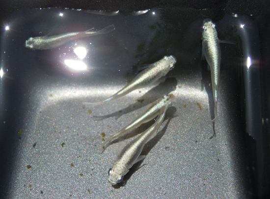 e0097534_11513446.jpg