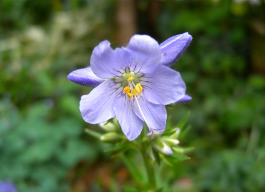 e0272335_1552317.jpg