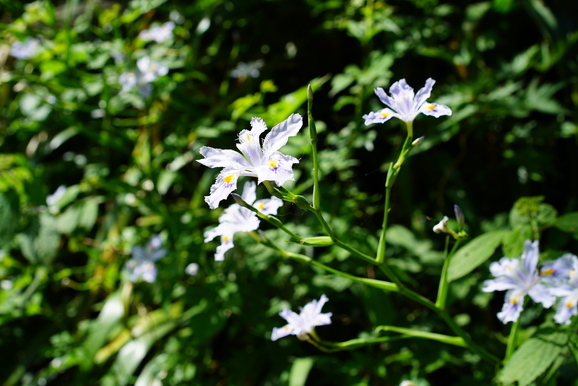 c0193136_9451638.jpg