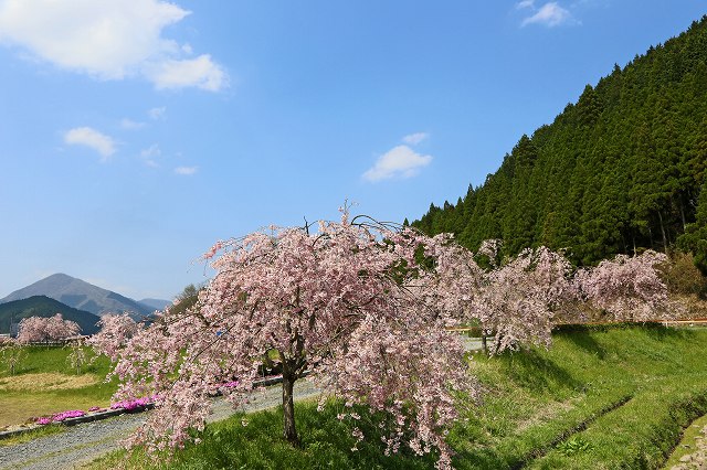 a0242438_18413940.jpg