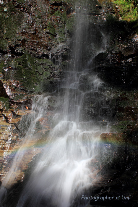 e0083238_2047270.jpg