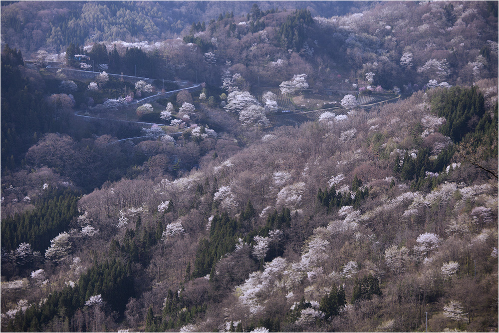 d0328840_14152032.jpg
