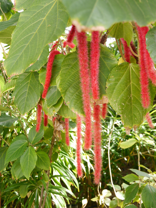 c0209845_001877.jpg