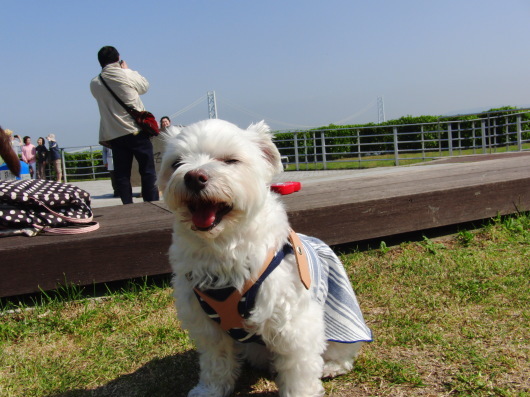 b0254548_09200709.jpg