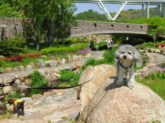 b0254548_09241080.jpg