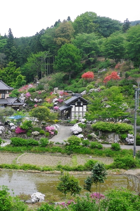 f0000148_185062.jpg