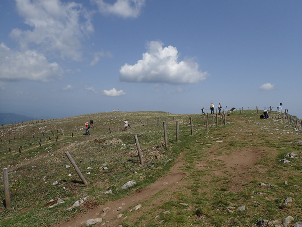f0214649_4335931.jpg
