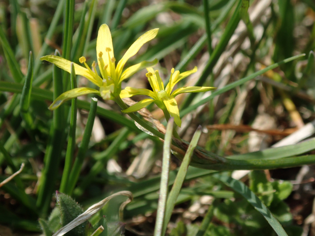 f0214649_455075.jpg