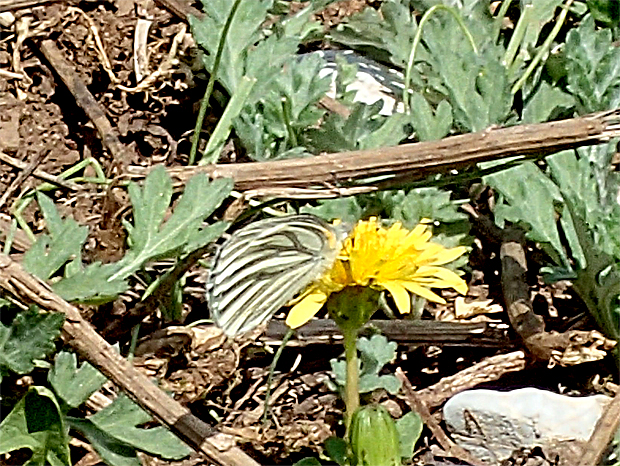 f0214649_5329100.jpg