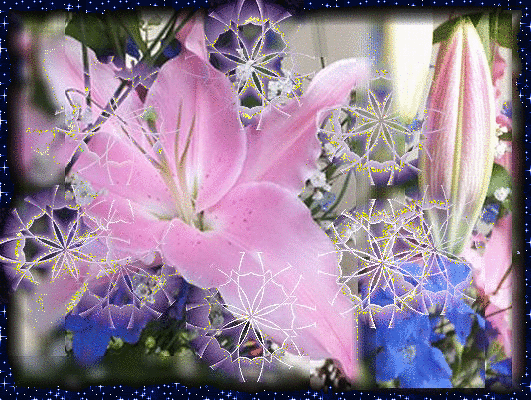 b0133752_2334433.gif