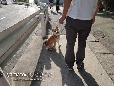 a0286855_17543661.gif