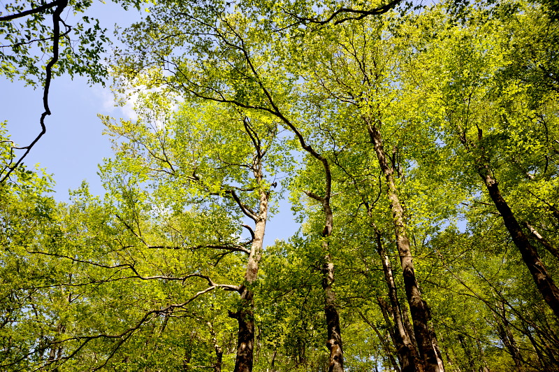 d0169556_22141473.jpg