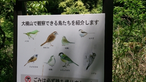 b0178557_23010950.jpg