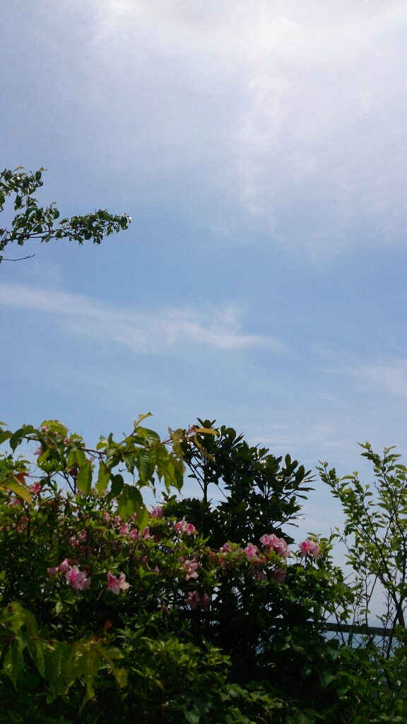 b0178557_23011029.jpg