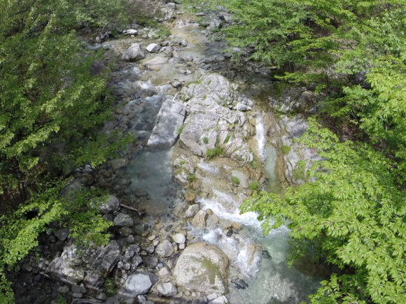 c0316460_11085207.jpg