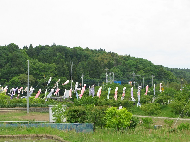 a0052762_22131378.jpg
