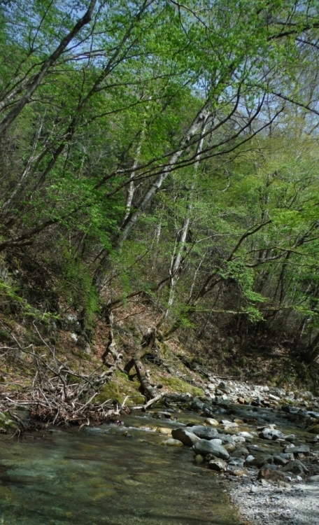 b0304662_22025067.jpg