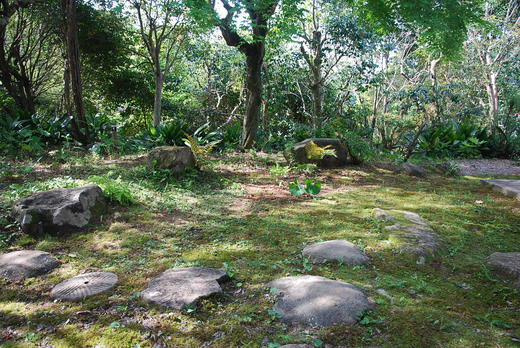 c0114063_841681.jpg