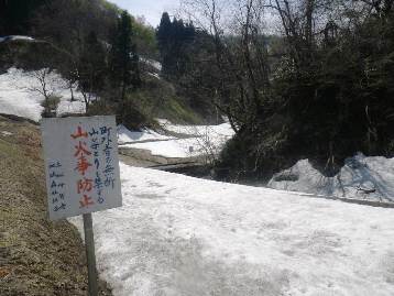 b0079965_503327.jpg