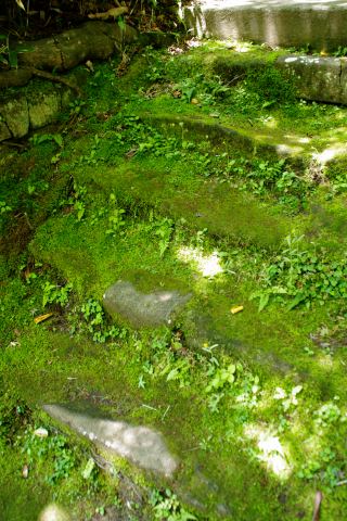 e0045768_22183012.jpg
