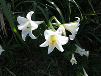 c0117570_14445723.jpg
