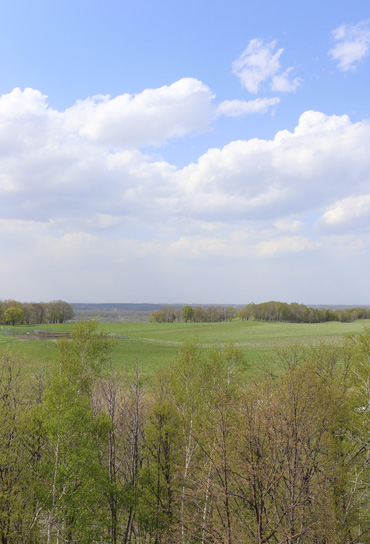 b0086273_18532699.jpg