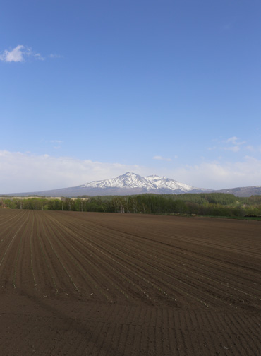 b0086273_1930940.jpg