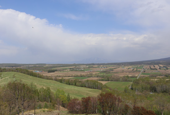 b0086273_1954253.jpg
