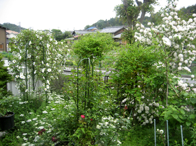c0289473_10293511.jpg