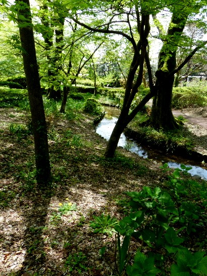 d0084473_208077.jpg
