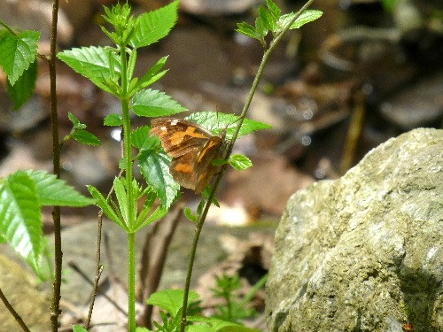 d0084473_2081997.jpg